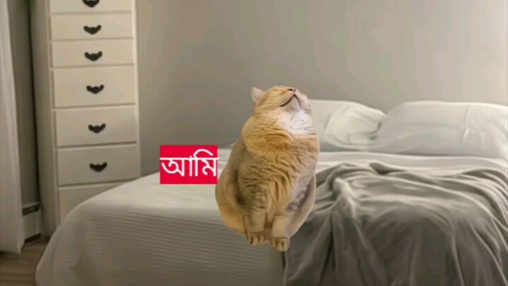 আমাকে রেখে চলে গেলো আম্মু