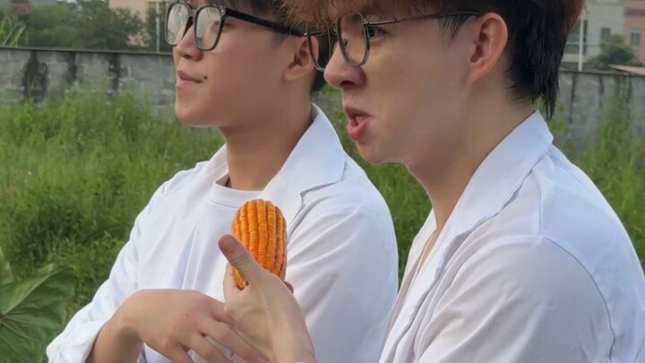 ความบาดหมางระหว่างนักศึกษาเกษตร