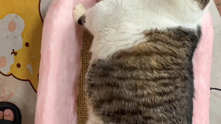 Dizziness is normal.