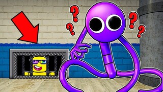 Rainbow Friends SECRET SPOT HIDE & SEEK