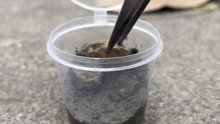 你该不会把外卖调料盒全扔了吧？