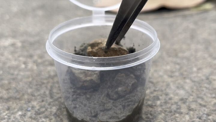 你该不会把外卖调料盒全扔了吧？