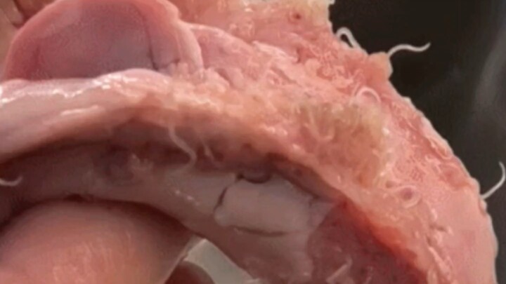 素食主义者劝食人魔吃素，当场就把他给做成香肠喂狗，肉罢不能