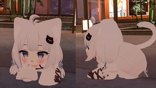 [VRchat Daily] Đọc xong cái này, bạn cũng muốn chơi trò mèo!