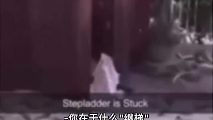 今天的互联网就刷到这儿了
