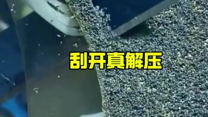 Scratching it is truly stress-relieving.