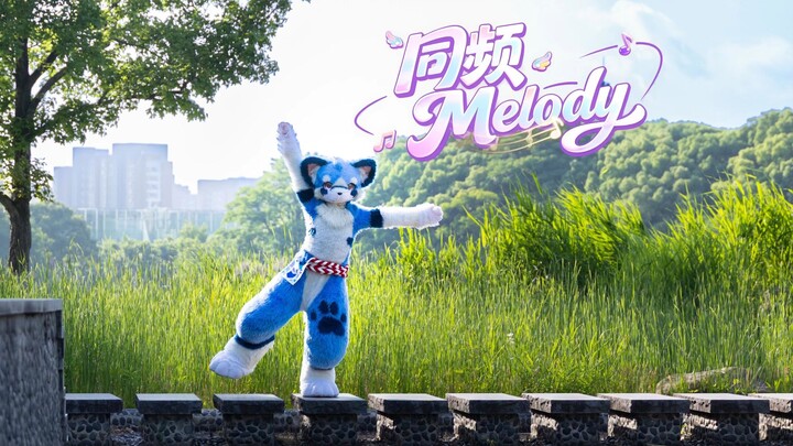 【BDF2026】Melody ตามจังหวะเดียวกัน โดย PICO เต้นคัฟเวอร์ทั้งเพลง 【ผลงานคัมแบ็ก】【FursuitDance】【P2 มี X