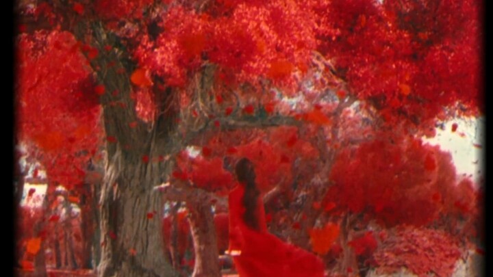 The most colorful shots in film history