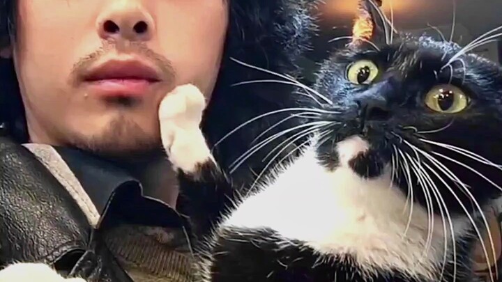 猫：憋吻我