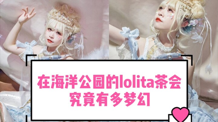Buổi trà Lolita lần đầu chơi đùa cùng các loài động vật biển