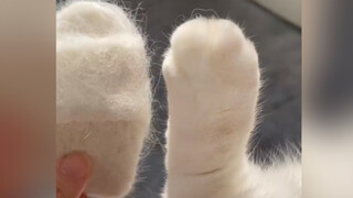 The fur slippers I made myself should be very warm and so cute!