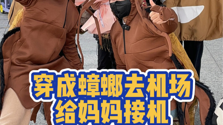 Hóa thân thành lũ gián ra sân bay đón mẹ, thế mà bà ấy chẳng thấy xấu hổ gì hết? Còn cả bầy gián kia