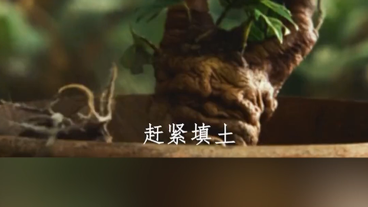 By the time you were mocking him, he had already earned the Gryffindor Sword's approval! #HarryPotte