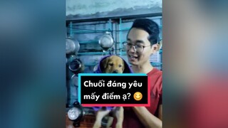 Cả nhà chấm điểm đáng yêu cho e Chuối với nào. Hihi cunyeucuadua chó chócon chókhôn chócute bacninh