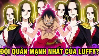 BOA LUÔN SẴNG SÀN THAM CHIẾN?! | NHỮNG ĐỘI QUÂN HÙNG HẬU LUÔN SẴNG SÀN VÌ LUFFY