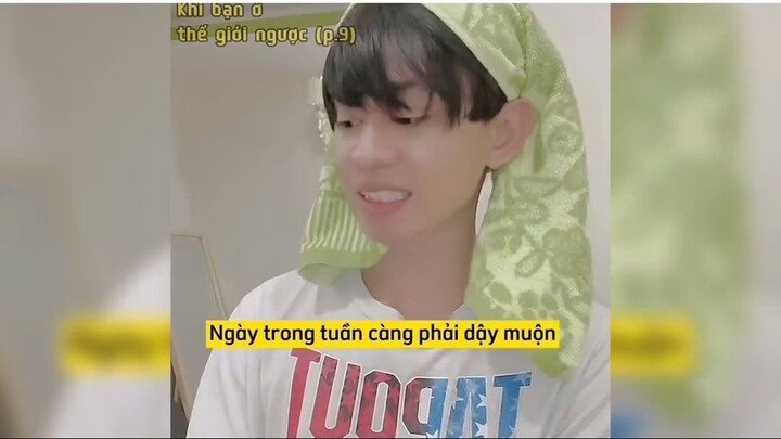 Full 13 tập  Khi chúng ta ở thế ĐẢO NGƯỢC  Hoàng Hiệp Entertainment t