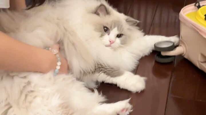 Fufu: Auntie, are you sure school starts tomorrow?