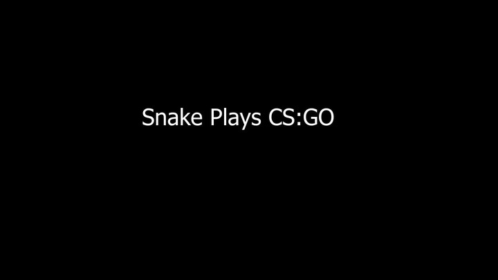 Snake Plays CS:GO