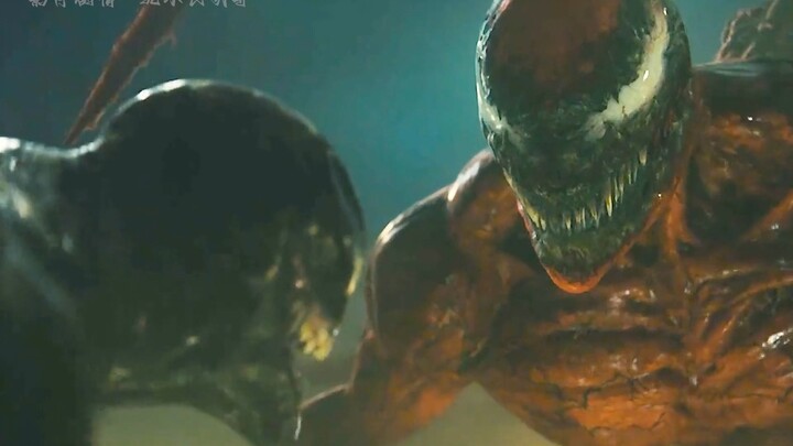 The adorable Venom who only eats bad guys’ brains—so this is how it is! “Venom Duology”