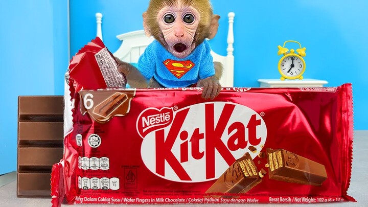 Monkey Baby Bon Bon eats giant Kitkat chocolate candy with ducklings and go to the toilet