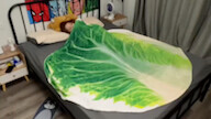 My boyfriend bought me these blankets. Isn’t he afraid that I will eat them while I sleep? Tag your 