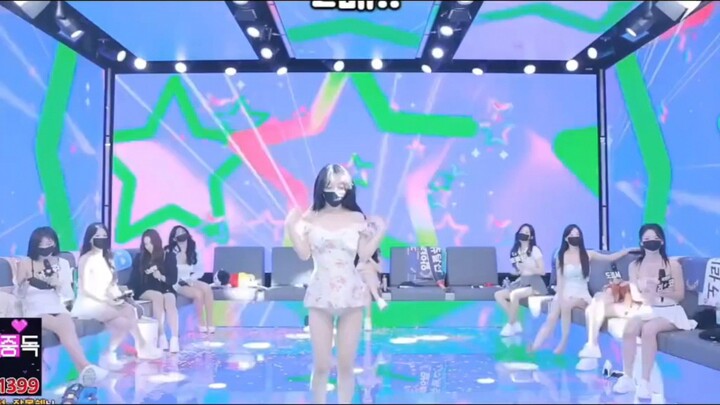 Panda Class Korea KBJTV Hot #5