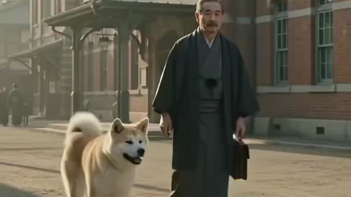 He waited 10 years at Shibuya Station 😭🐕 hachikodog tokyojapanrescue loyaltydogs