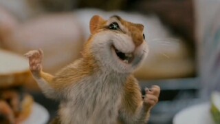 CHARADES ft. squirrel 🐿️