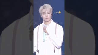 Vernon-San, Daisuki💘VerDi🐢🦖#seventeen #dino #vernon #verdi #scoups #dk #hoshi #mingyu #wonwoo #woozi