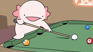 Billiard star salamander【Suddenly irritable salamander】【KARAMERU】