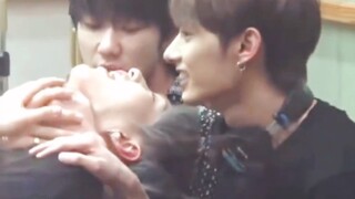 【SEVENTEEN】被中国line压制的仓鼠