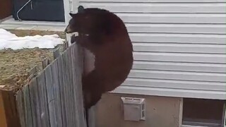 Naughty child: Mom, have you forgotten about us!
