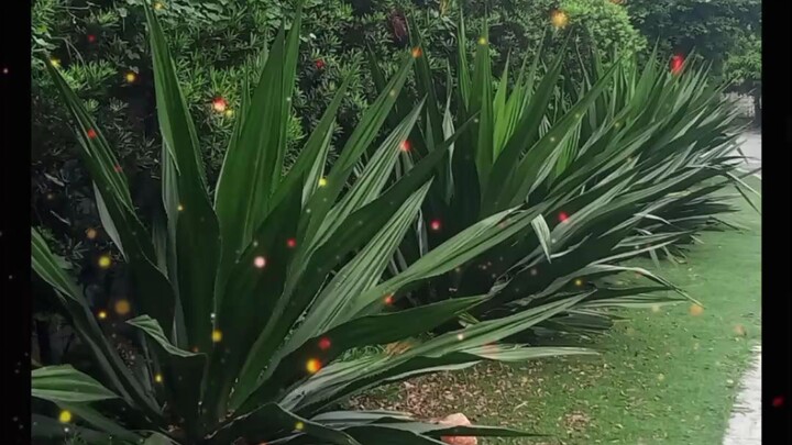 beautiful creatures☺️☺️☺️