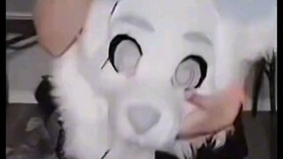 I quit being a furry