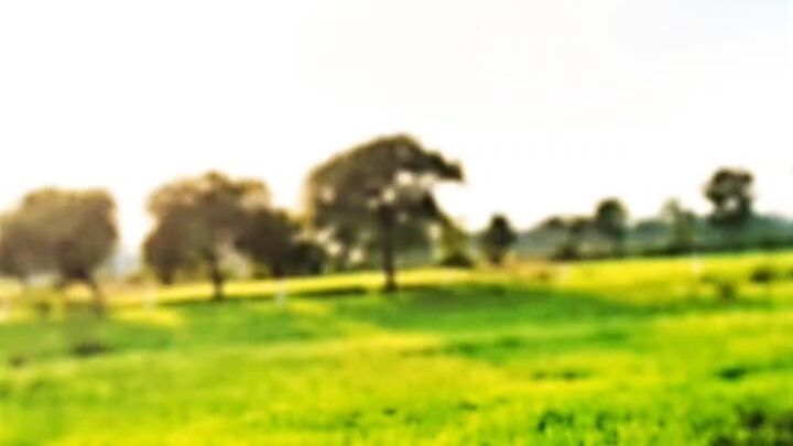 nature हमारे भारत देश की नेचर की खूबसूरती।'sota video.😍💓