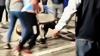 别急，排队懂？