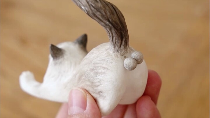 Mèo: Ghét loài người không có ranh giới