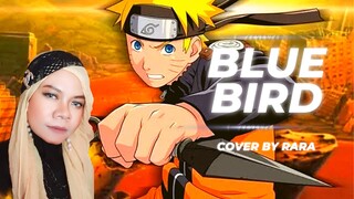 BLUE BIRD COVER BY RARA