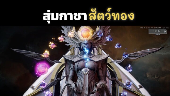 สุ่มกาชาสัตว์ทอง rfonlinenext