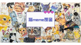 【猫meme】绘画过程|画了一整个猫meme宇宙1.0（大概）