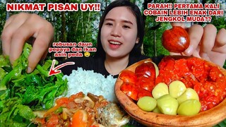 MUKBANG JENGKOL TUA MENTAH CAMPUR JENGKOL MUDA REBUSAN DAUN PEPAYA IKAN  PEDA SAMBEL TERASI#lalapan