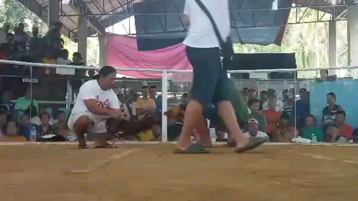 Straight Sweater|RJB GF