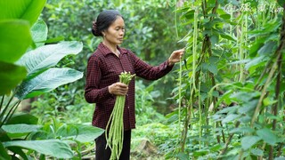 Mẹ hái đậu đũa xào lá lốt thơm ngon ( Harvest And Cook Meals With Yard Long Beans ) Ẩm Thực Mẹ Làm