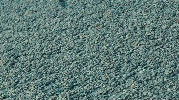 Damn Nokia is back boi