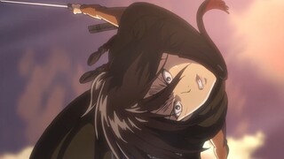 You don't understand Mikasa Ackerman