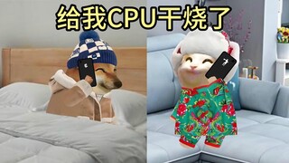 啥玩意谁和谁结婚了，给我cpu干烧了！