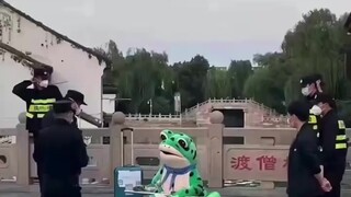 可爱与凄凉并存