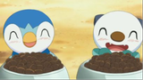Piplup and Oshwatt is so CUTE pokemon