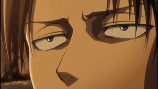 Levi Ackerman // edit