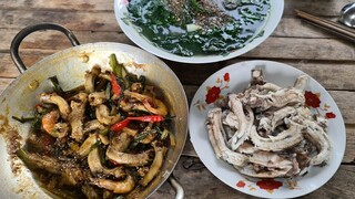 Mùng 5 tháng 5 đi câu cá bống dừa. Cá bống dừa kho tiêu, canh bồ ngót - Bin Đen Miền Tây # 173